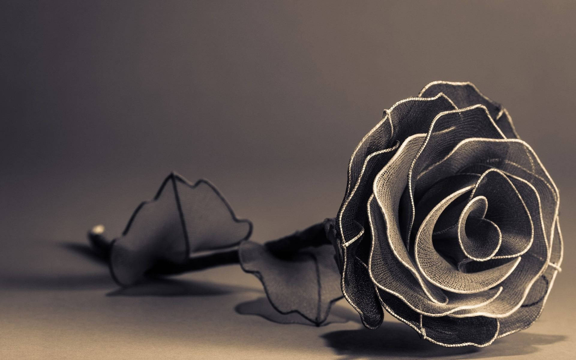 Download Black Aesthetic Rose Nylon Flower Wallpaper