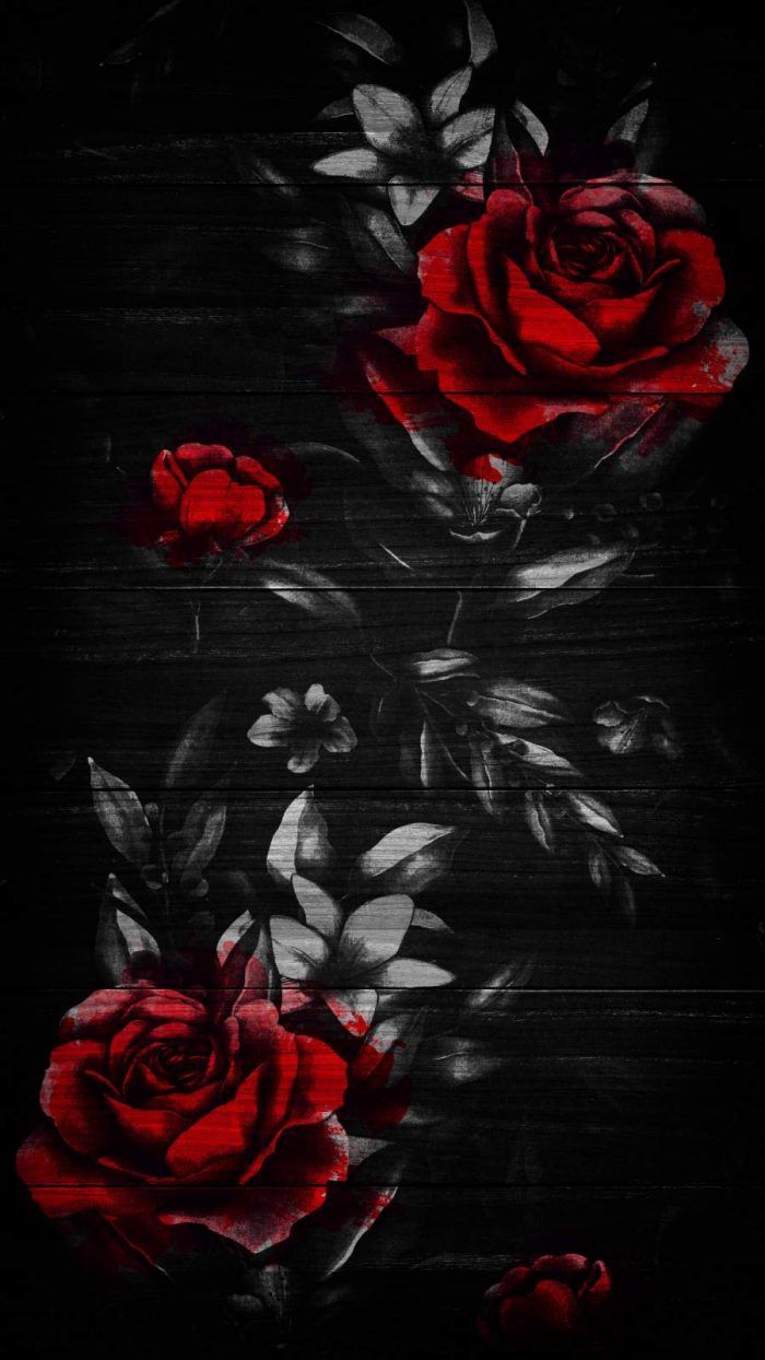 Black and red wallpaper, roses drawn on it, cool backgrounds for boys - Black rose, roses