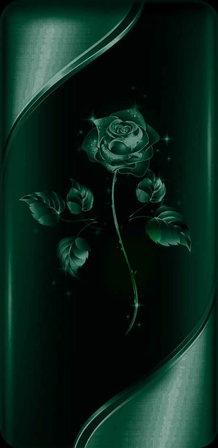 Dark green rose wallpaper for your phone - Black rose