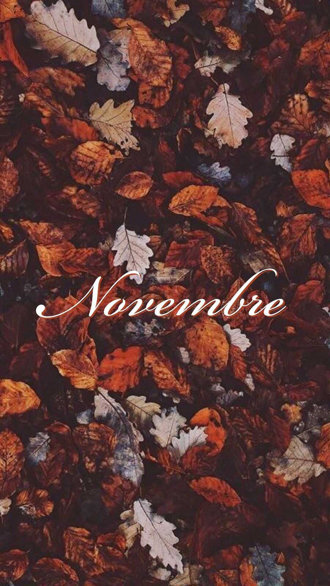 November wallpaper for phone and desktop. - November