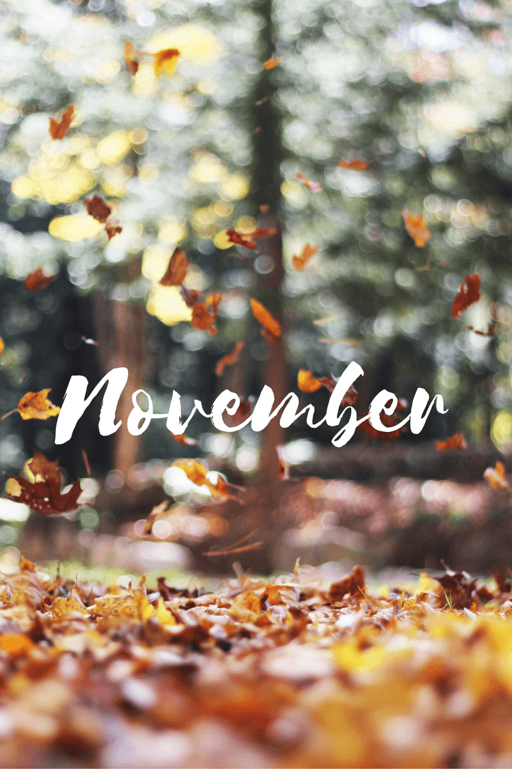 A photo of the word november on top - November