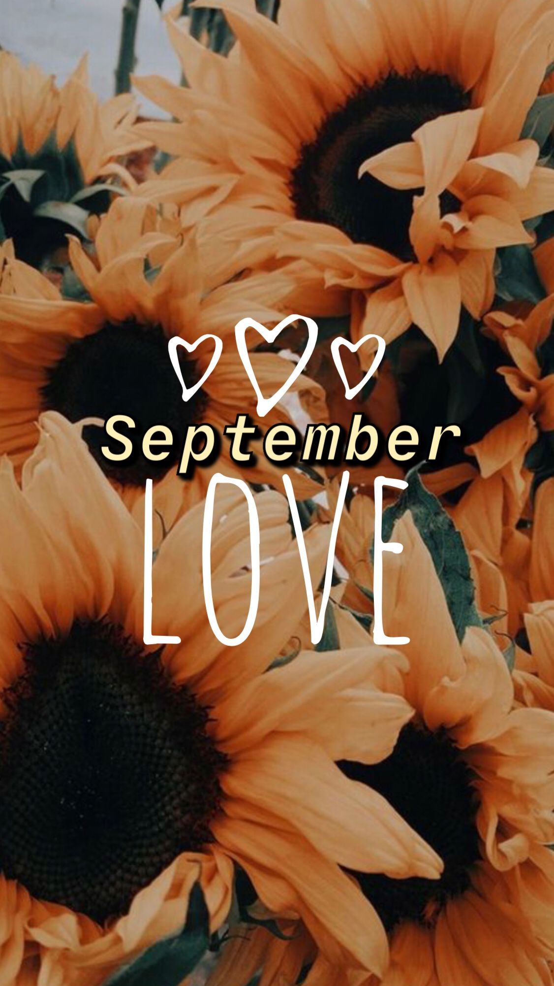 September love. September wallpaper, Fall wallpaper, Aesthetic iphone wallpaper