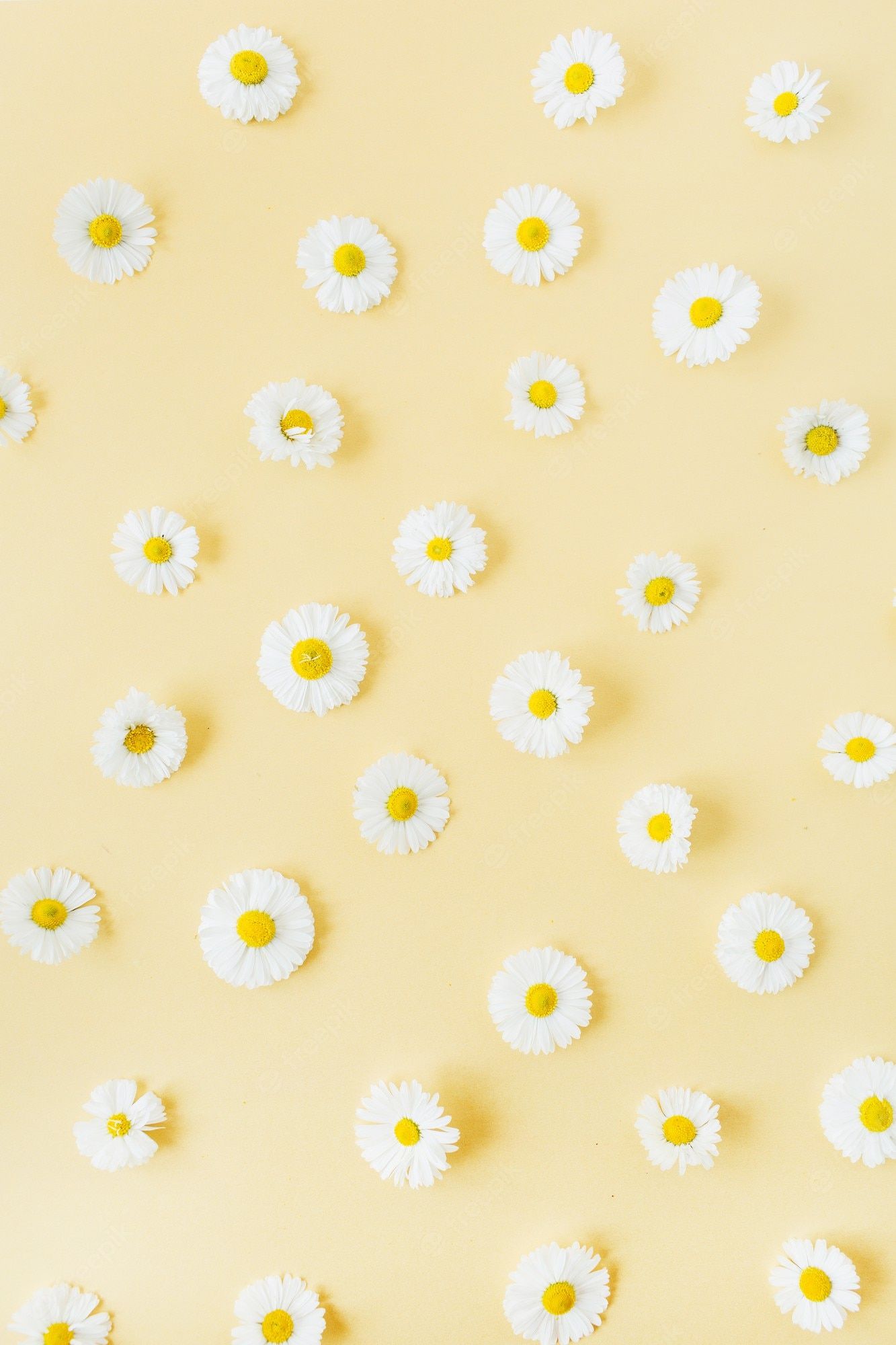 Cute Pastel Yellow Wallpaper Image