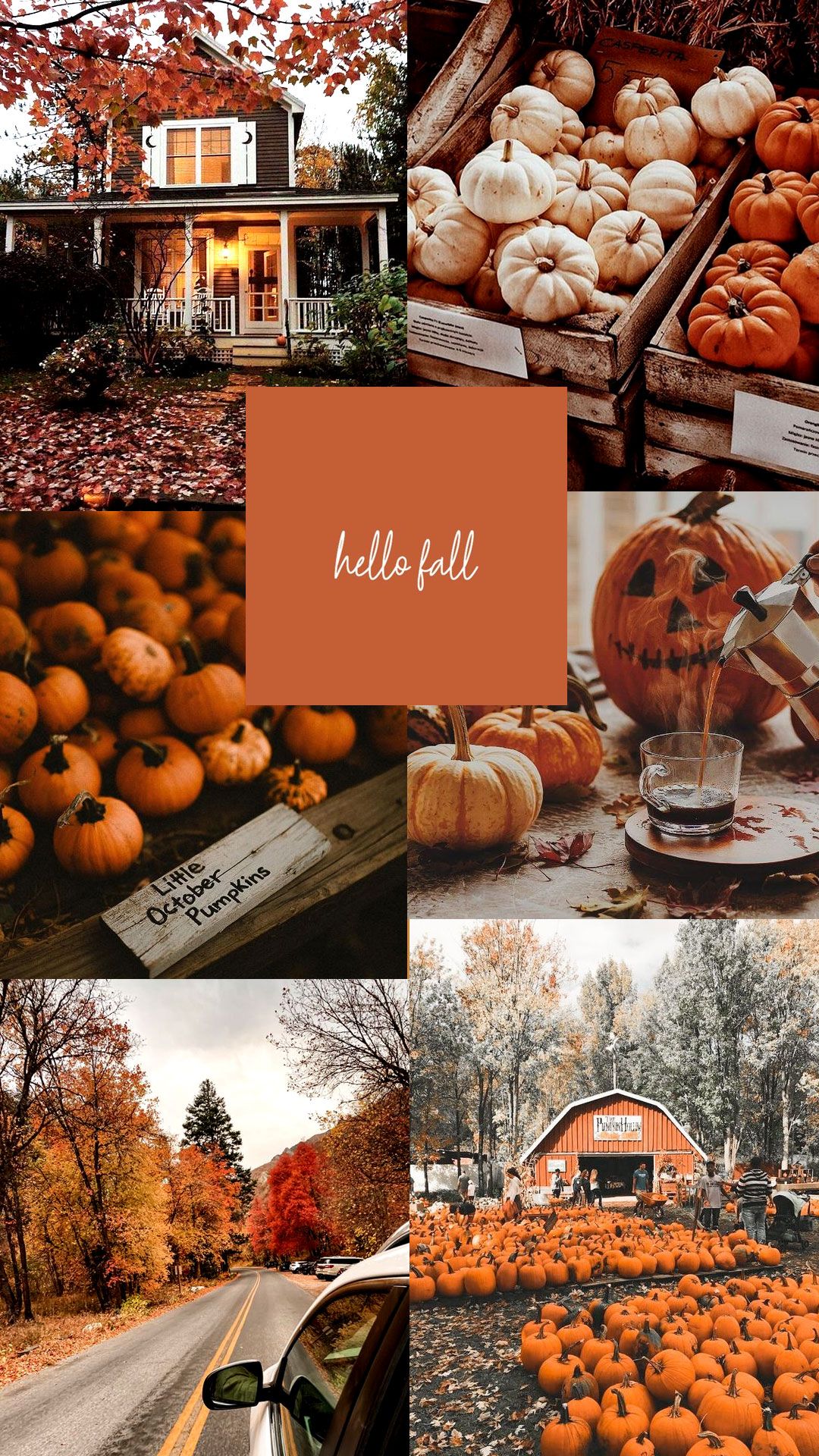 A collage of pictures with pumpkins and fall decorations - Fall, October, November, fall iPhone