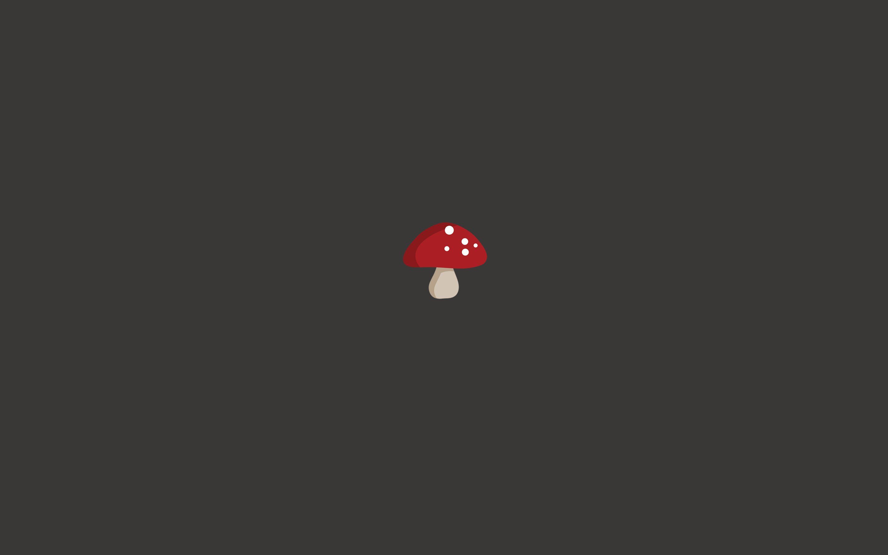 Minimalist mushrooms wallpaperx1800