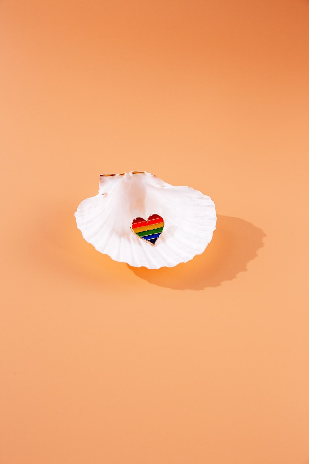 A shell with an image of the rainbow flag on it - Pastel orange