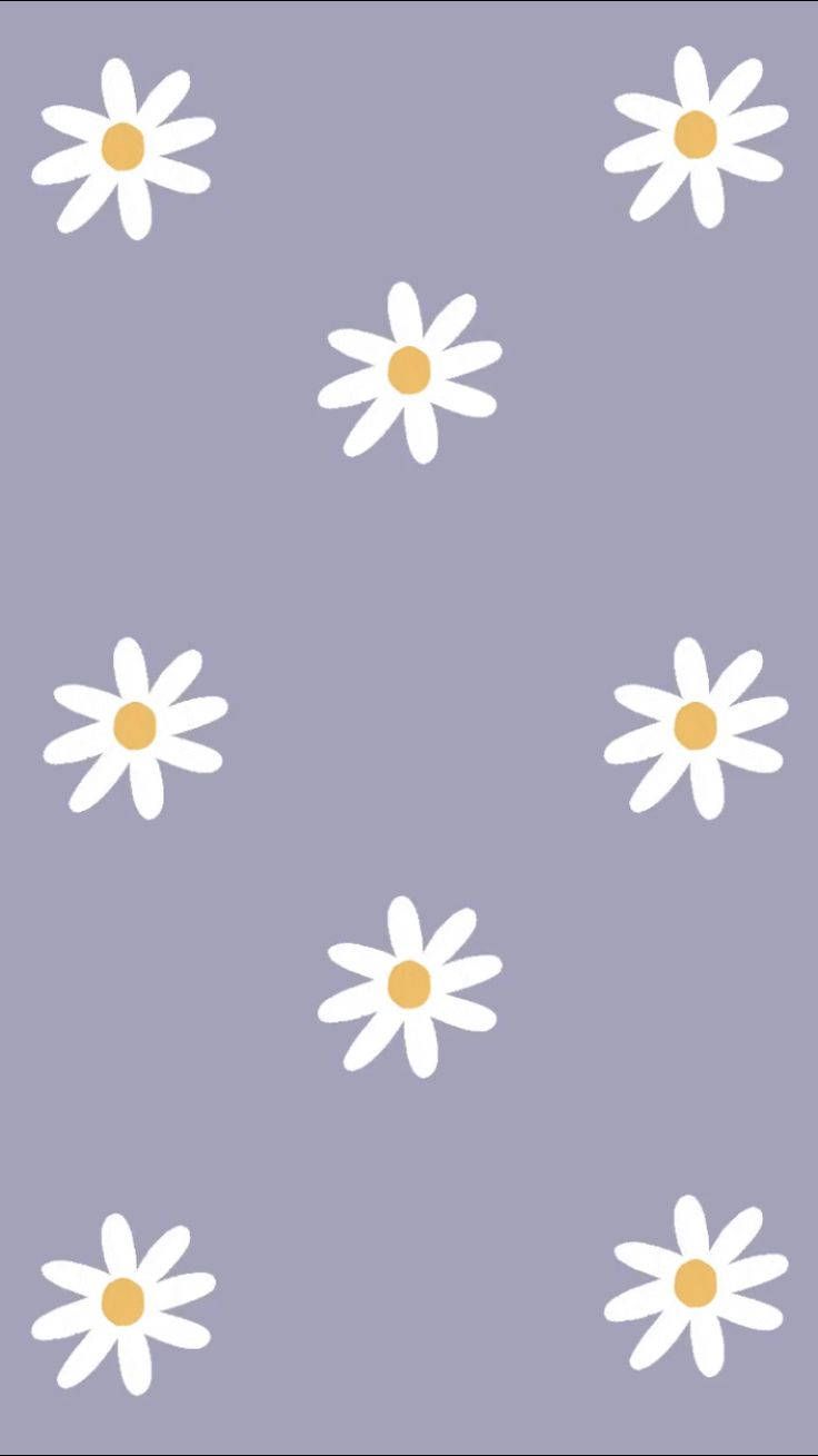 Daisy pattern on a purple background - Pastel purple