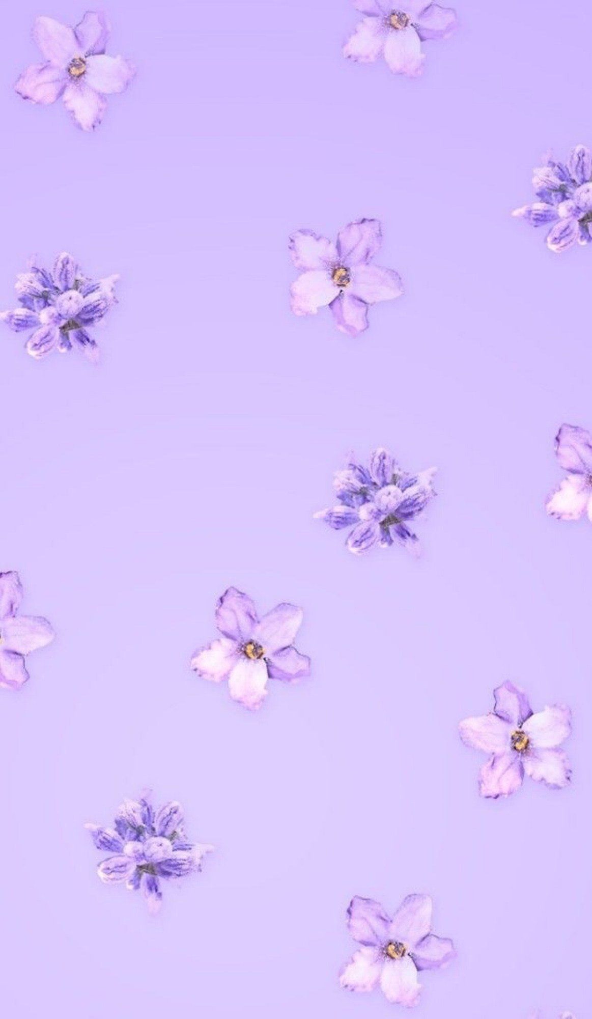Purple background with purple flowers in the middle, aesthetic backgrounds - Pastel purple