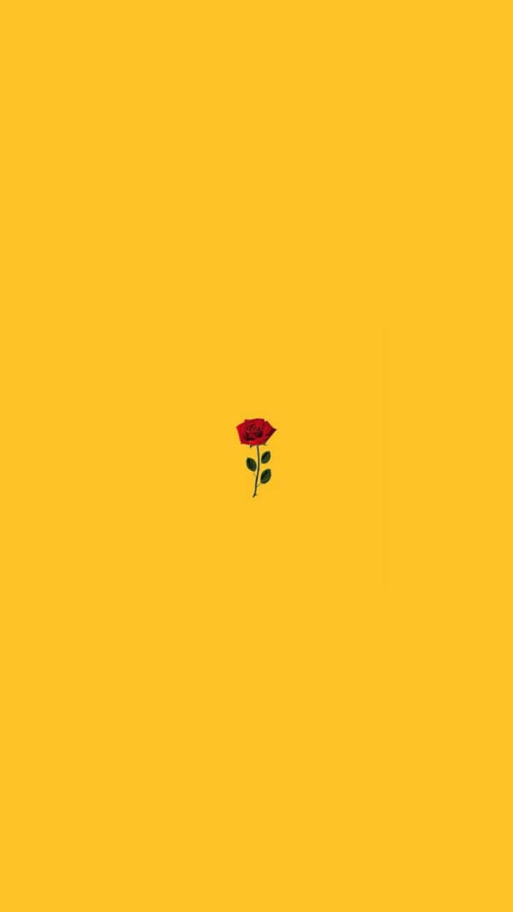 Aesthetic yellow background with a red rose - Yellow iphone