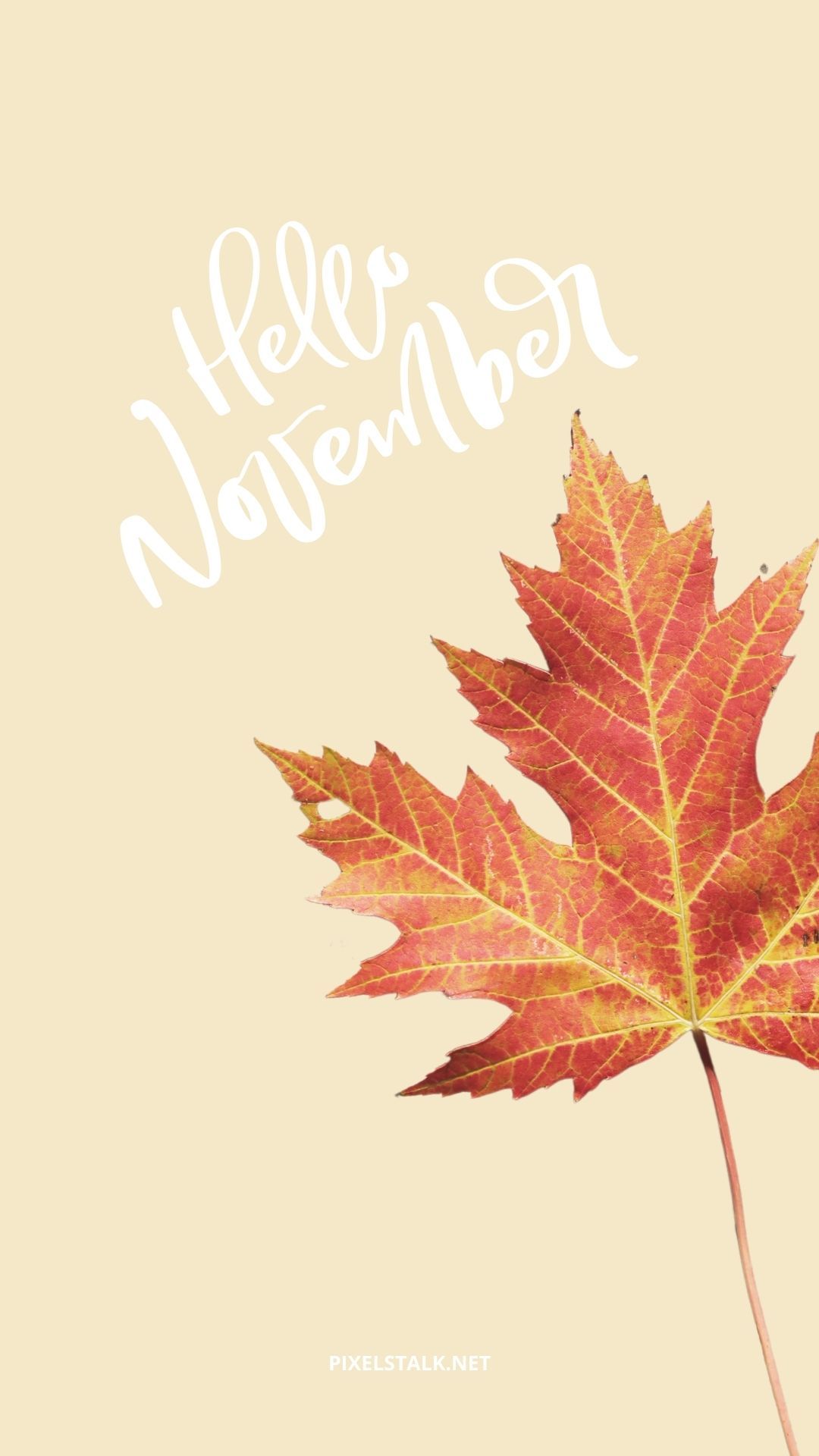 November Wallpaper iPhone
