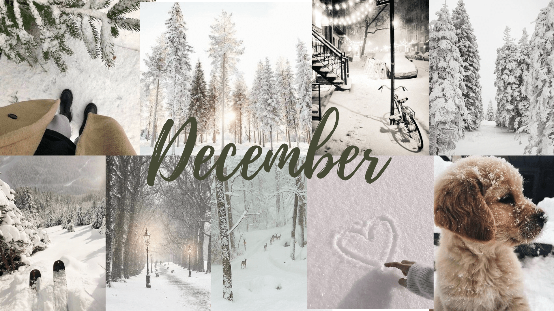 A collage of pictures with the word december - December