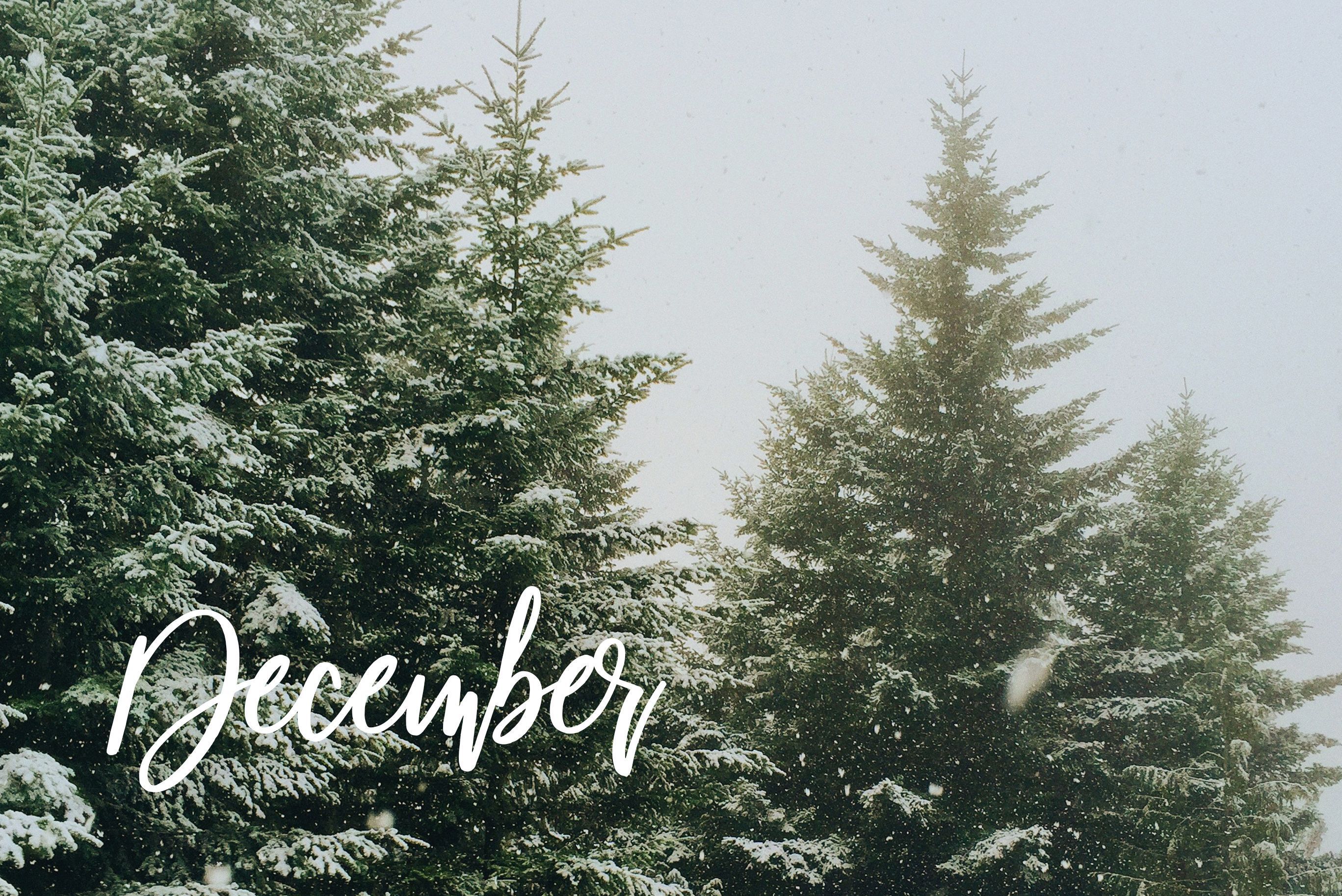 A snowy evergreen tree with the word December written in white cursive - December