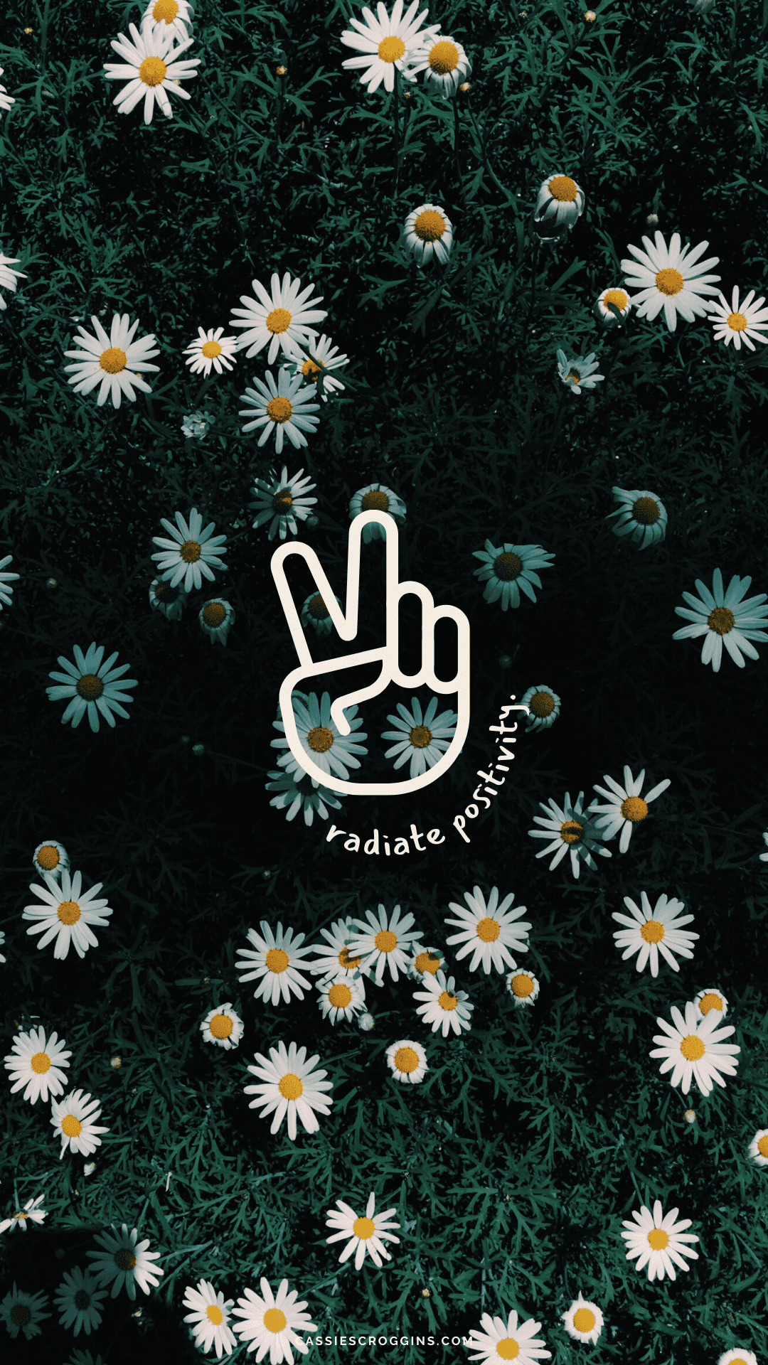 A phone wallpaper of a field of daisies with the peace sign and the words 