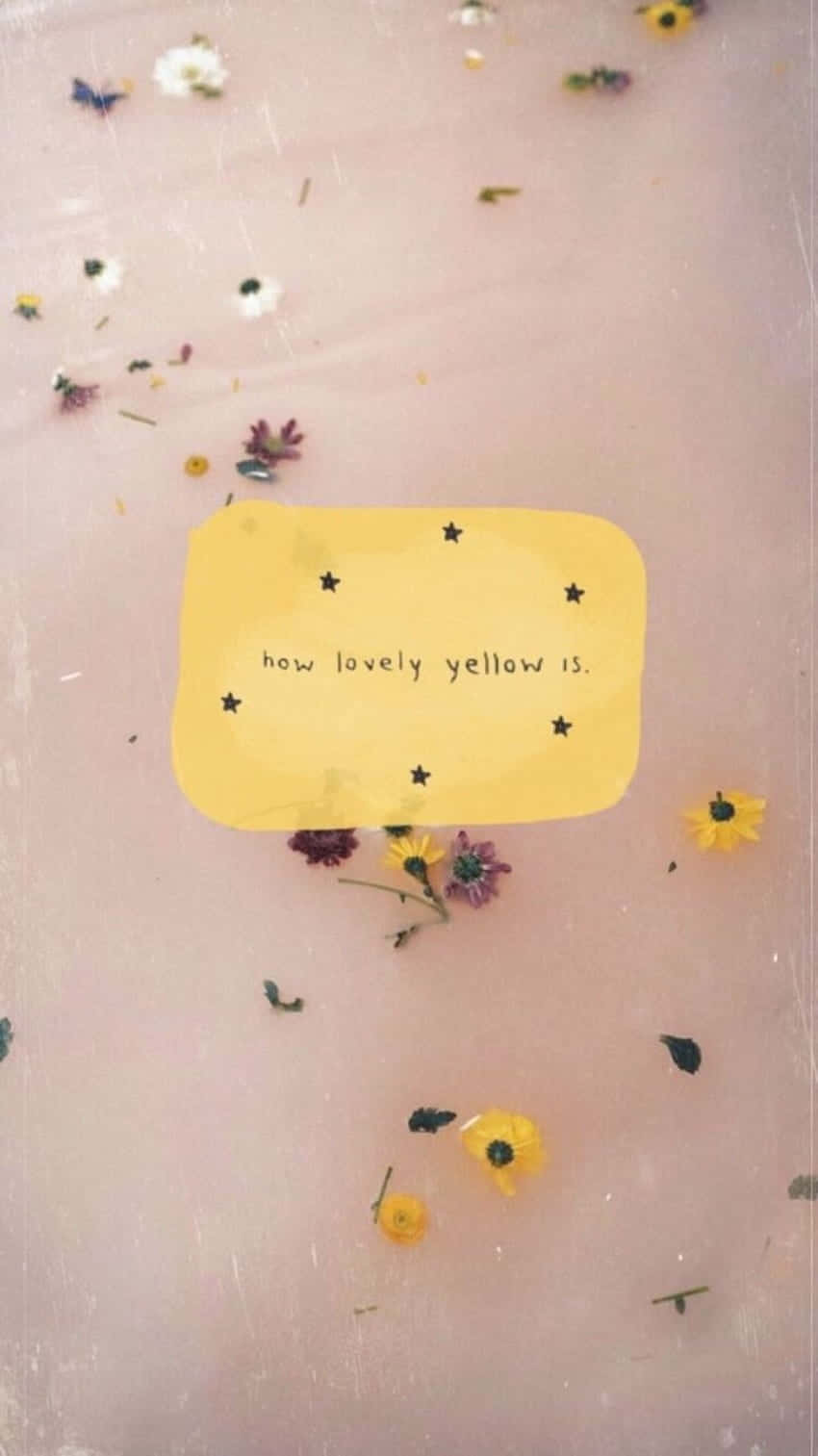 The beauty of yellow is a book about flowers - Positivity