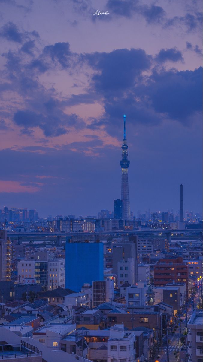 A city skyline at dusk with the tower in view - Japanese