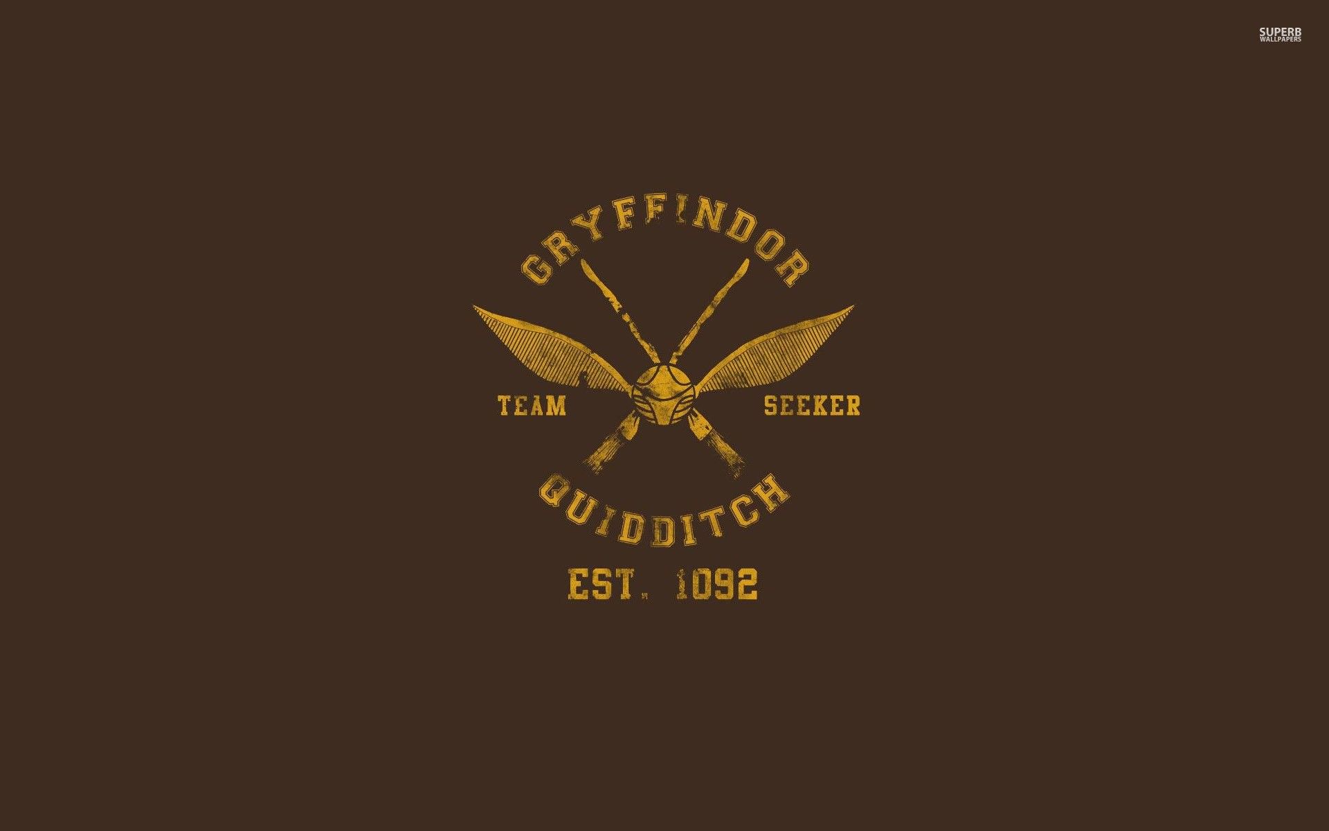 Gryffindor Quidditch Team