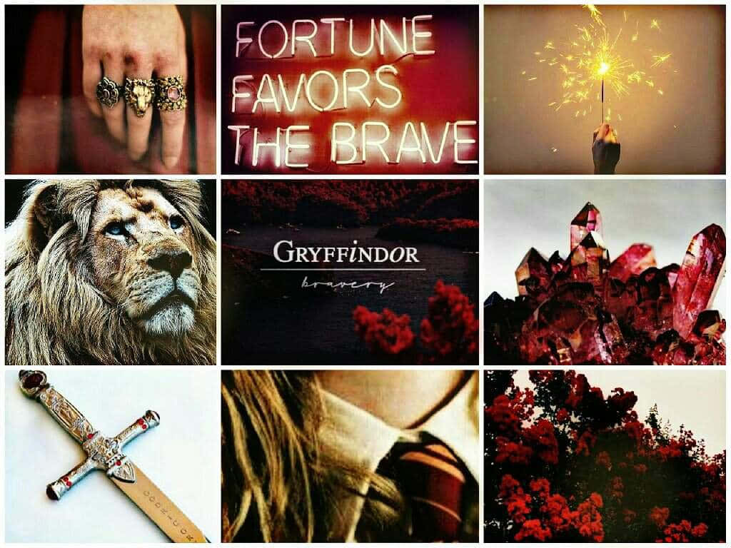 A collage of images including a lion, a wand, a person's hand with a ring, and a book cover. - Gryffindor