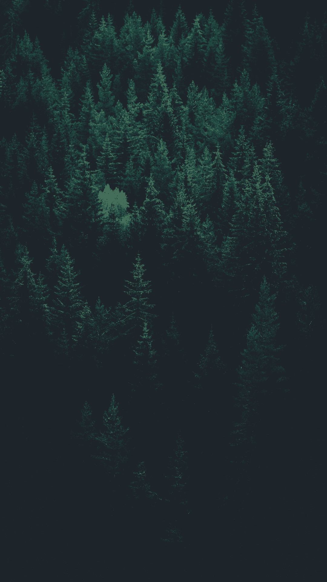 A forest of trees in a dark green color. - Slytherin