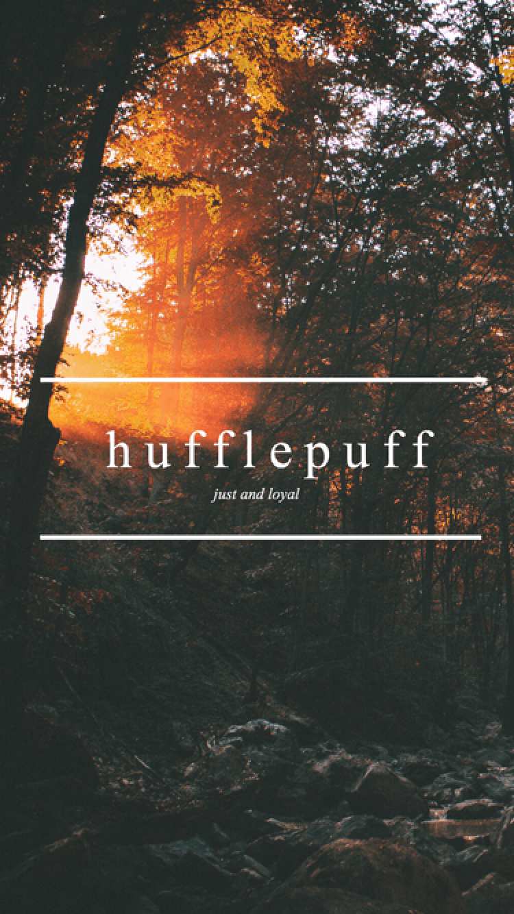 A forest with the sun shining through the trees and the words Hufflepuff, just and loyal - Hufflepuff