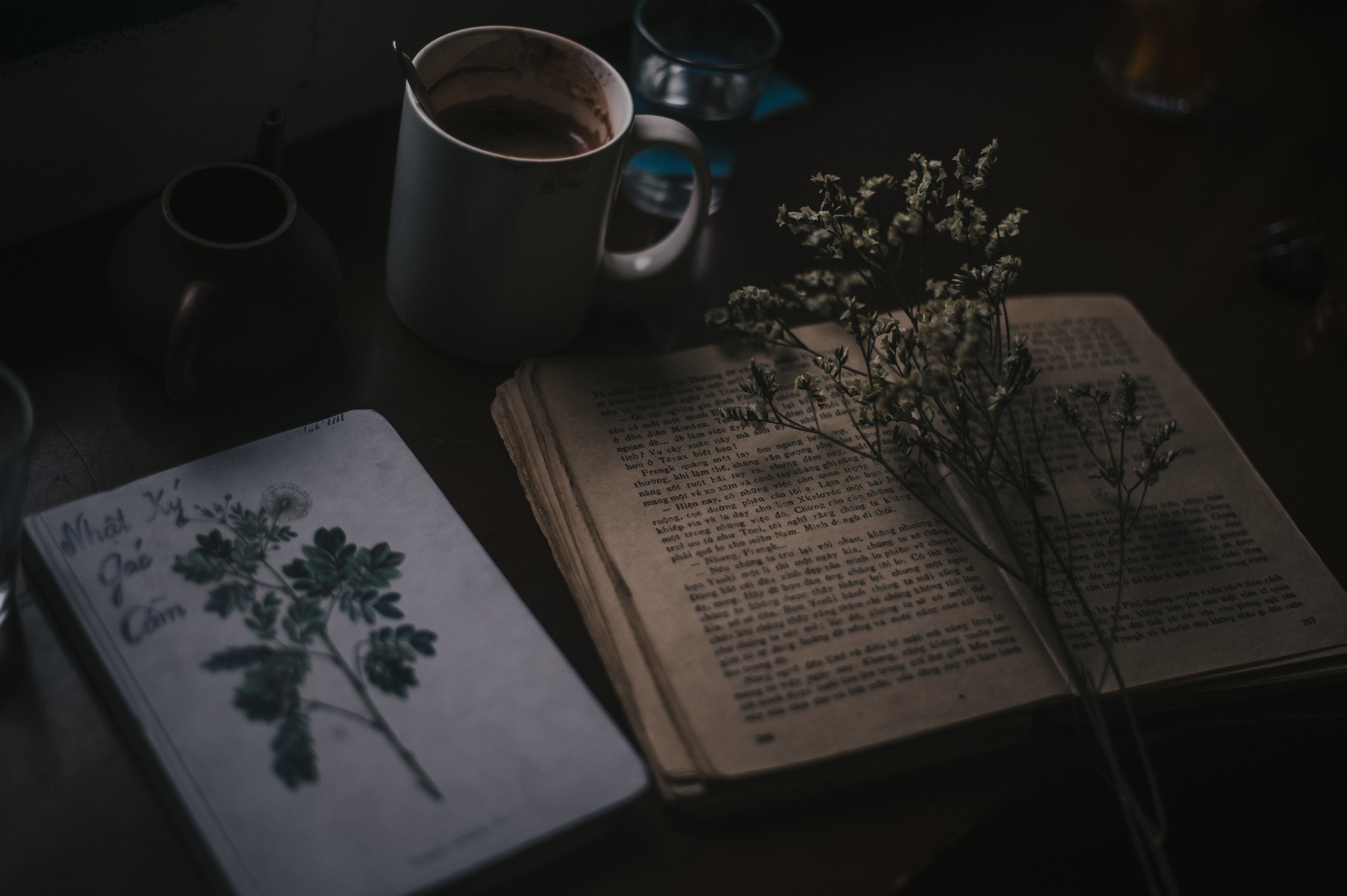 A cup of coffee sits next to an open book and a plant. - Vintage, dark academia, retro