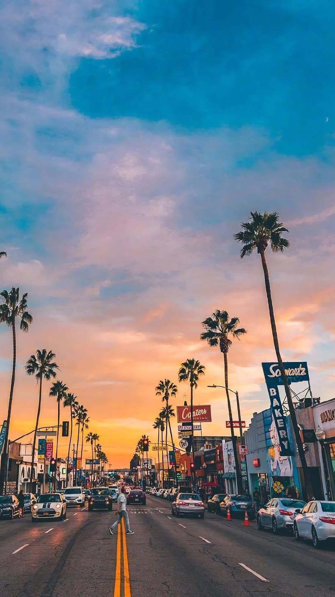 A city street with palm trees and cars - Travel, Los Angeles, road