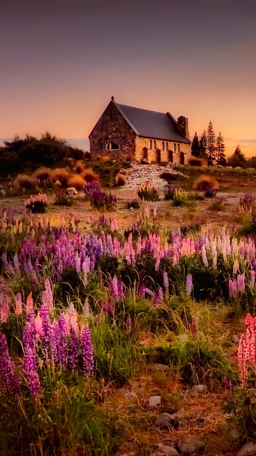 A house in the middle of a field with flowers. - Cottagecore