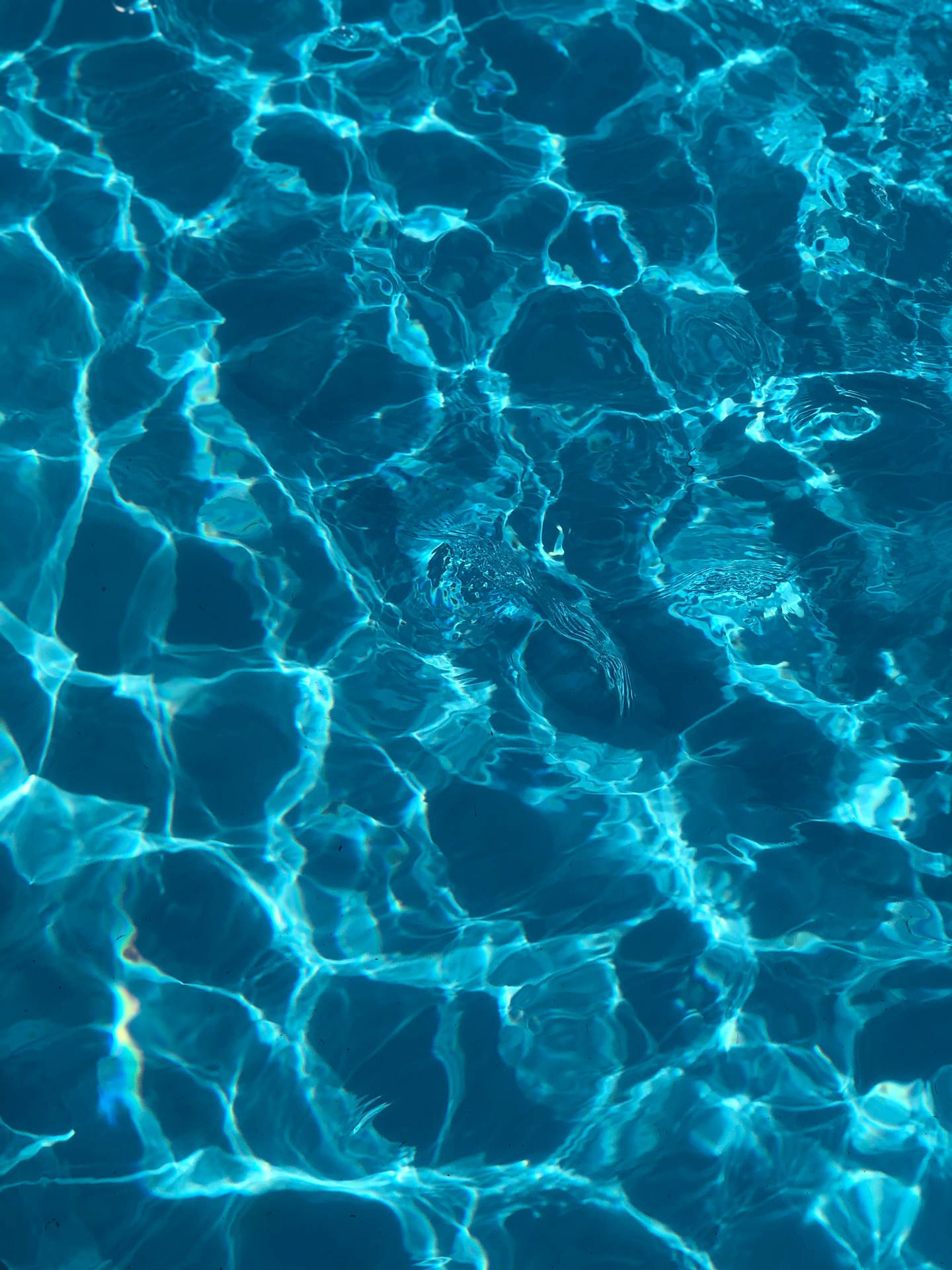 IPhone wallpaper of a pool with blue water and light reflecting on the surface. - Water, swimming pool