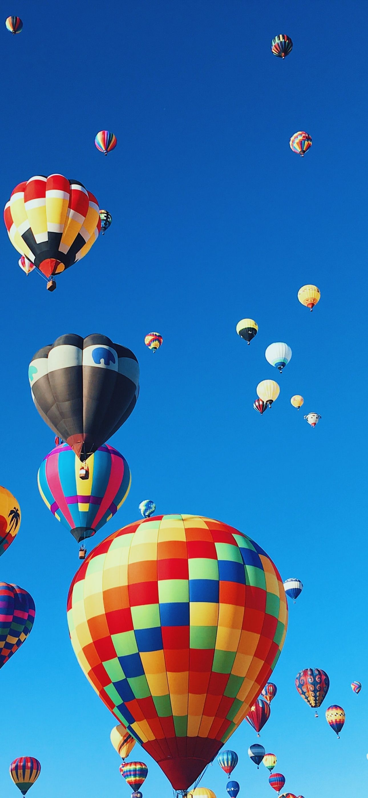Colorful hot air balloons in the blue sky - Balloons, travel, hot air balloons