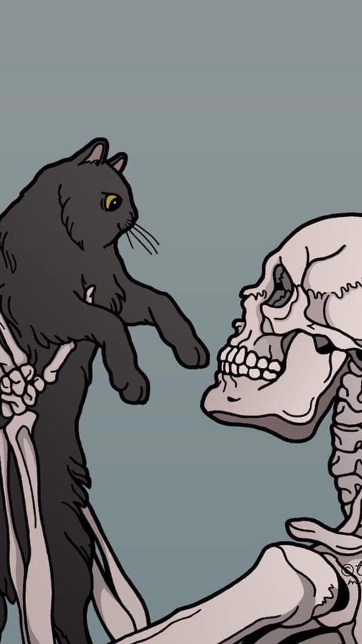 A black cat looking at a skeleton's skull - Gothic, emo