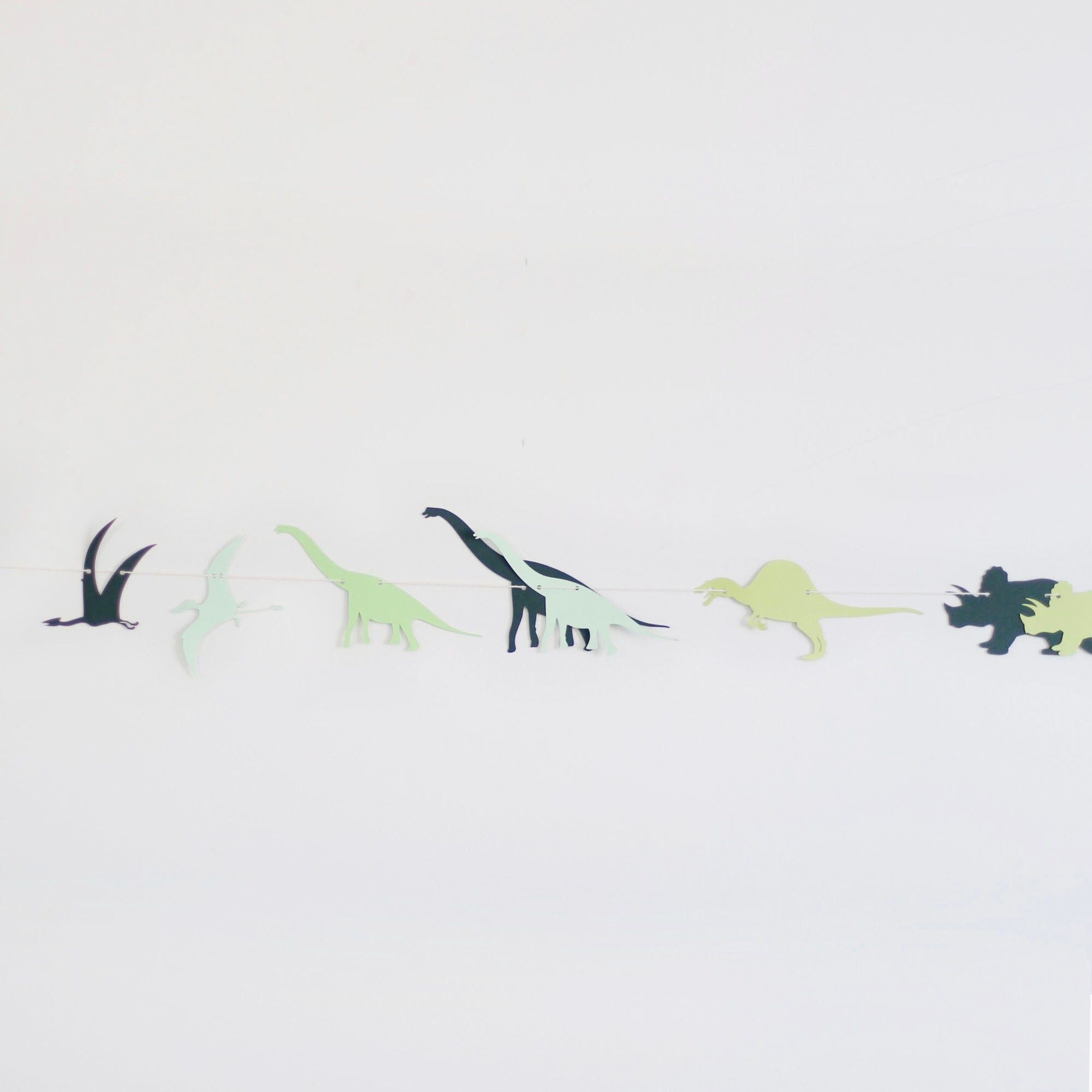 Dinosaur Banner Dinosaur Garland Dinosaur Party Dinosaur