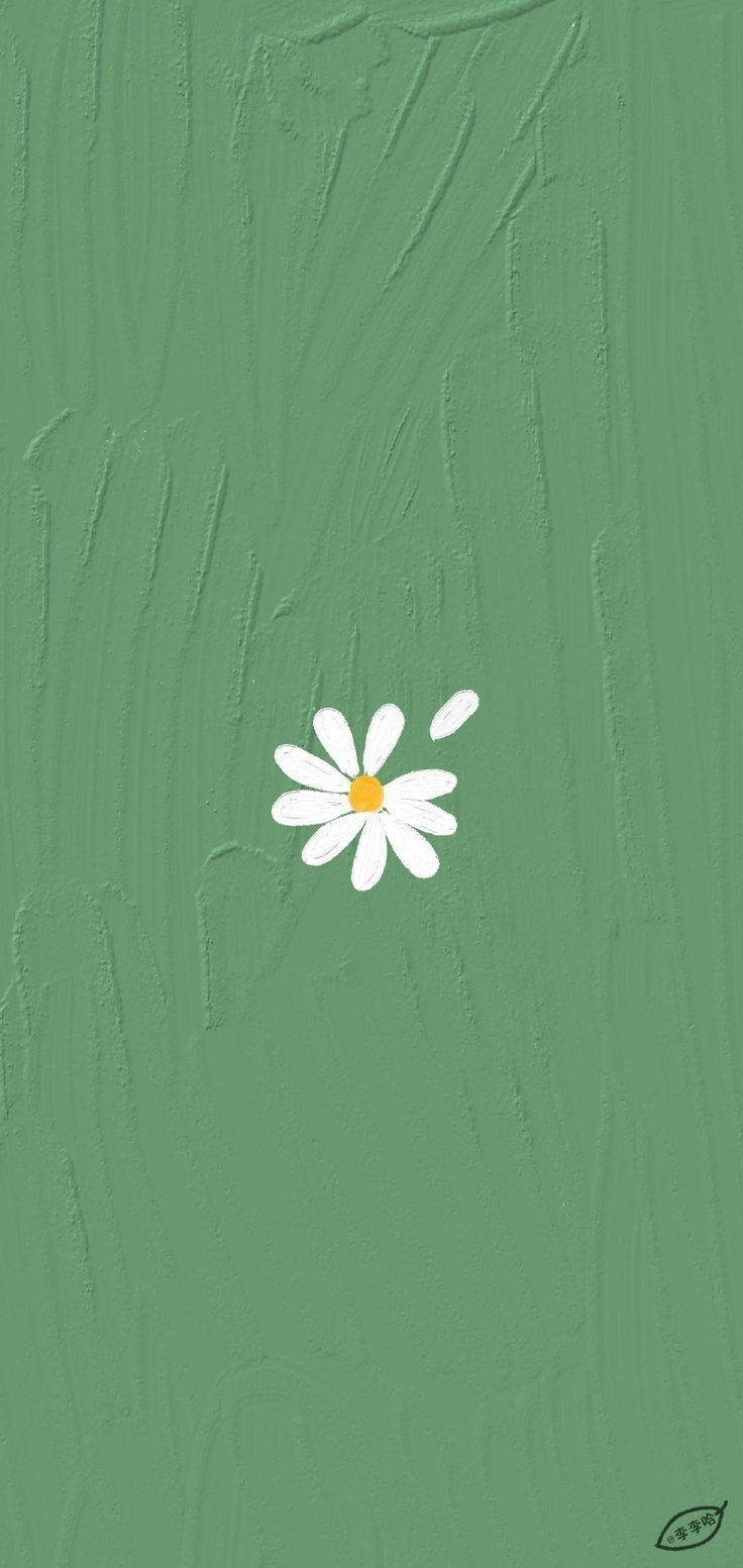 Download Mint Green Aesthetic White Flower Wallpaper