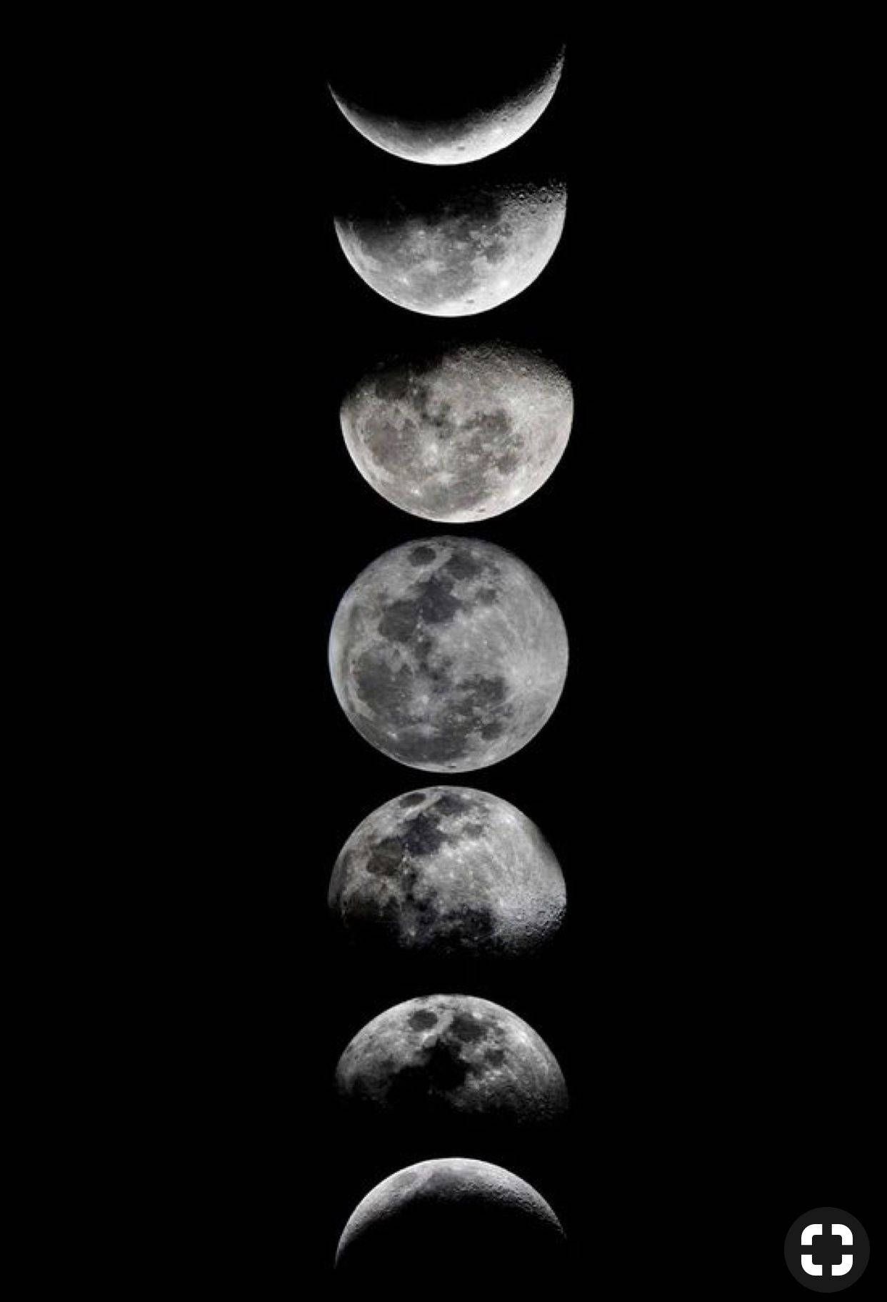 Download Vertical Moon Phases In Black Wallpaper