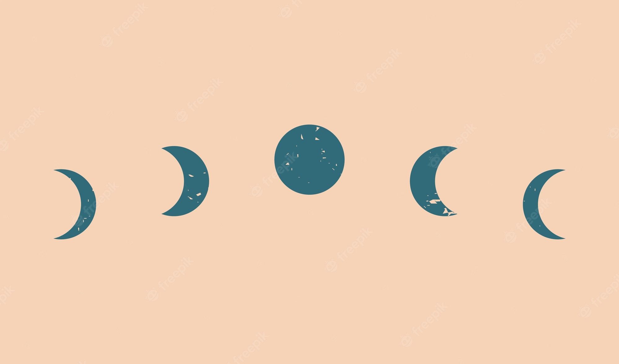 A set of four phases in the moon - Moon phases