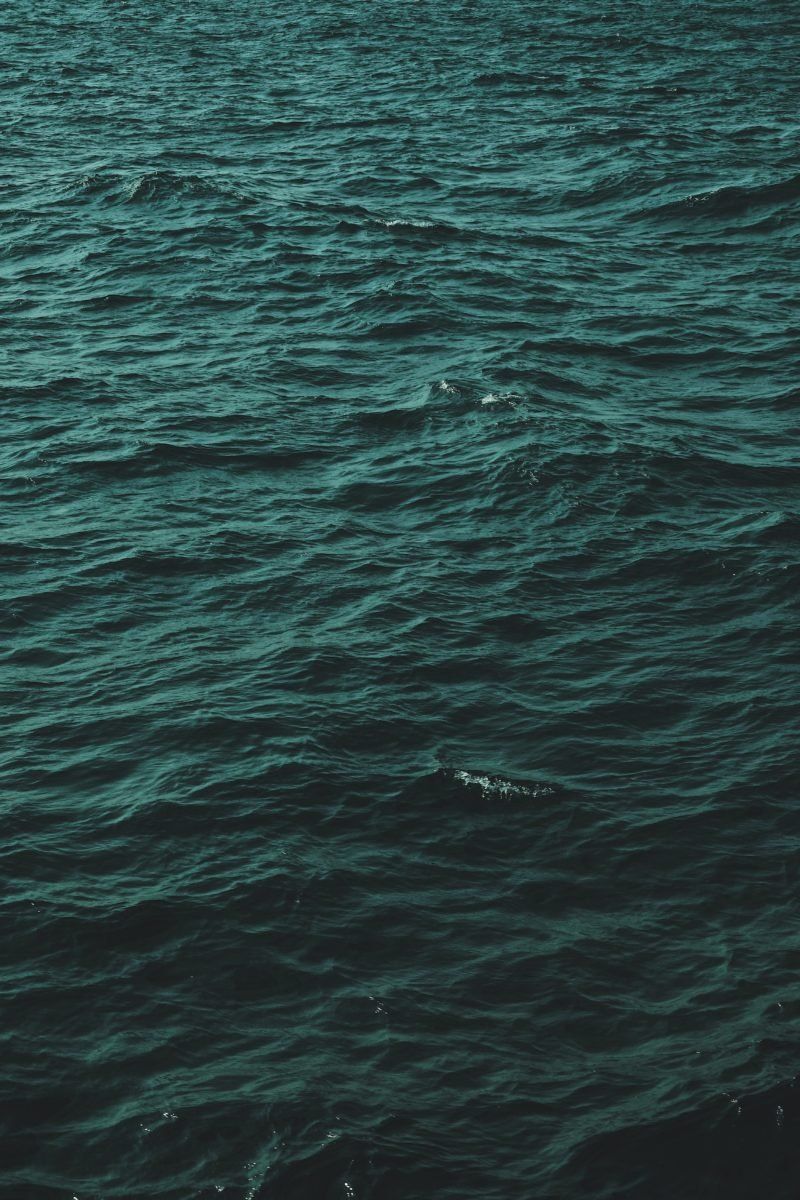 A person is surfing on the ocean - Dark, dark phone