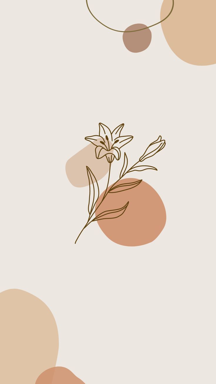 A flower is on top of some circles - Minimalist, modern