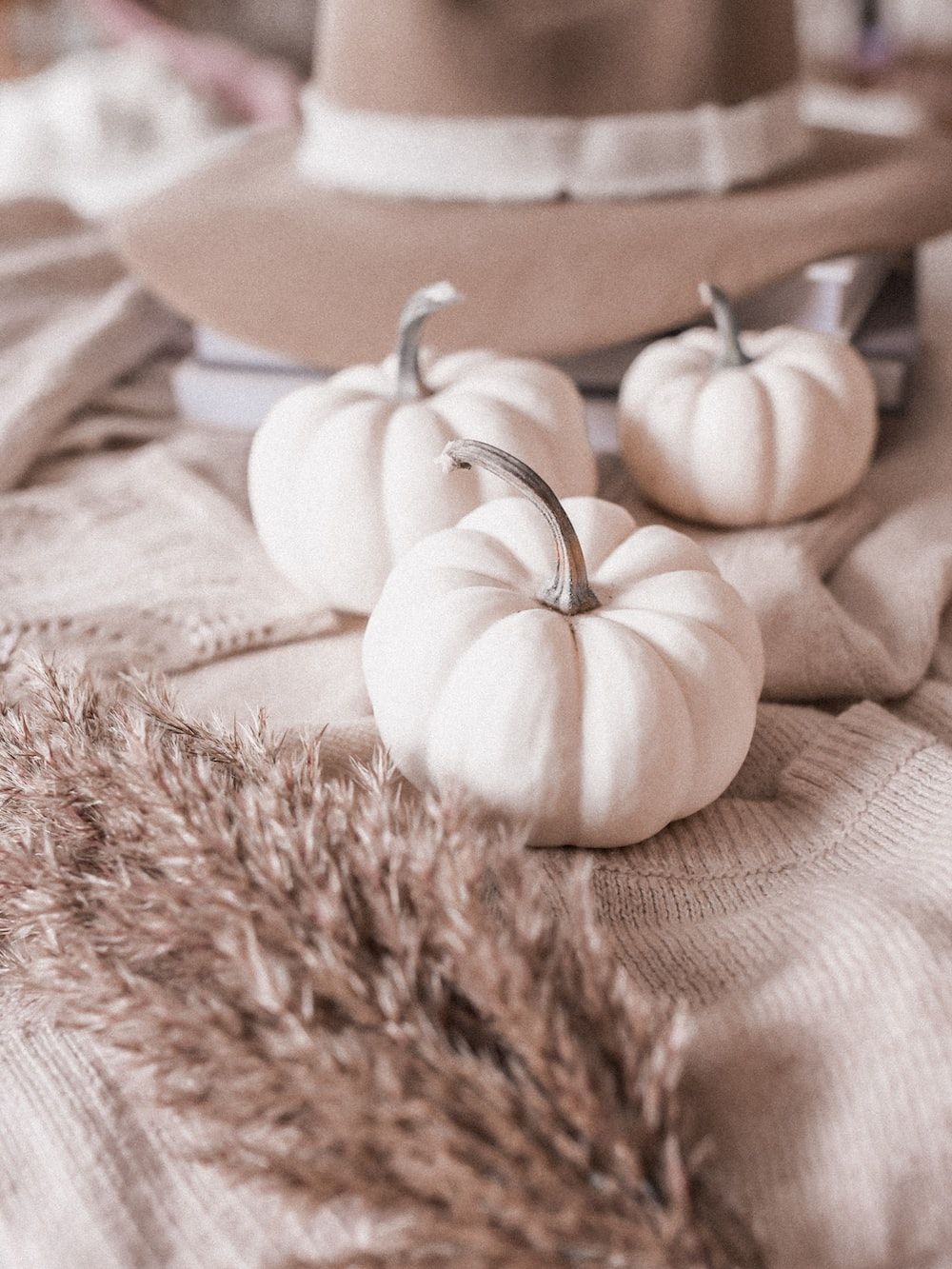 White Pumpkin Picture. Download Free Image