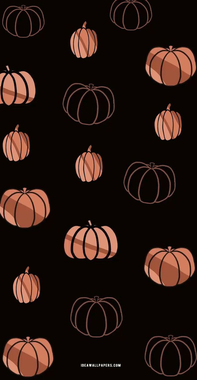 Pumpkin Wallpaper Ideas : Pumpkin Different Sizes Wallpaper