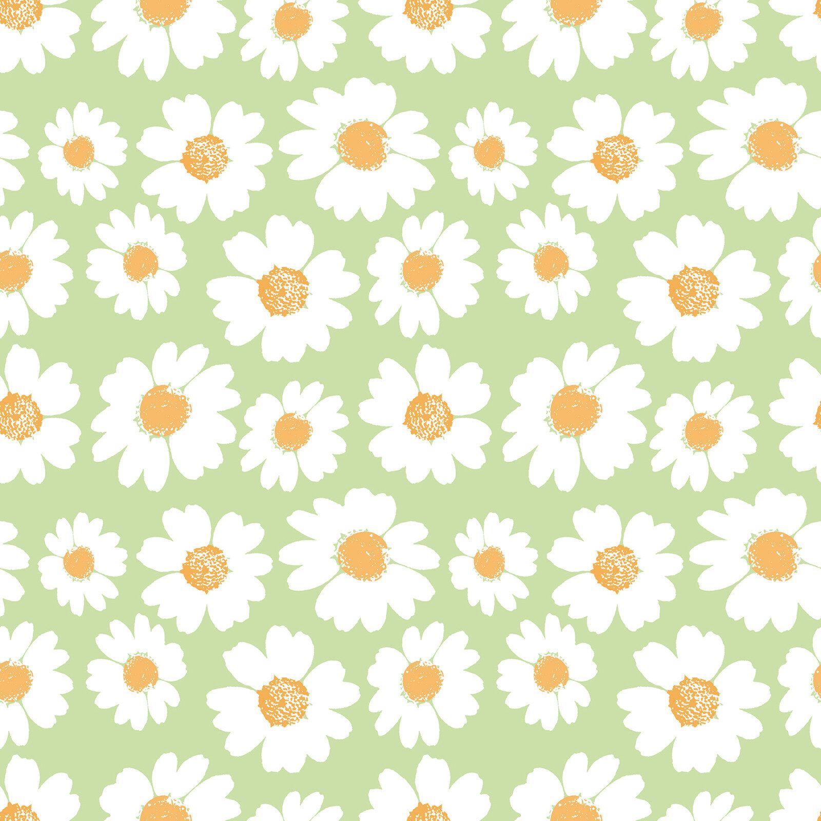 Daisy Wallpaper