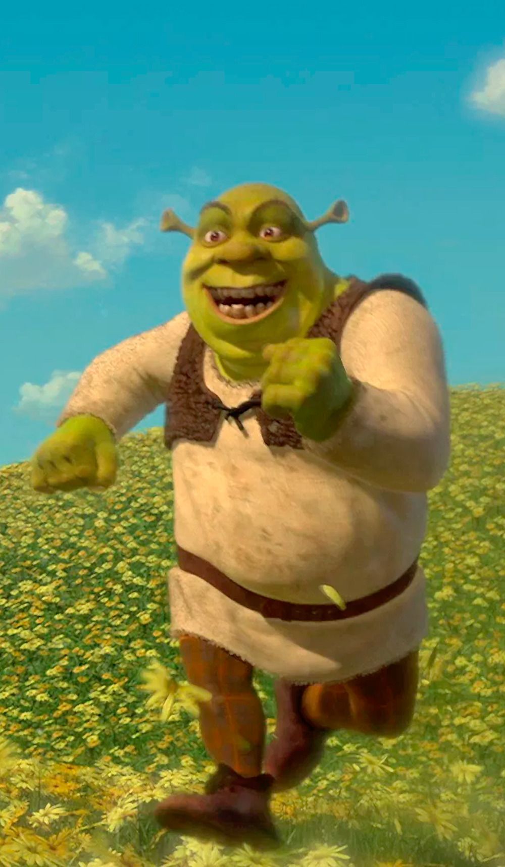 Aesthetic Shrek Wallpaper