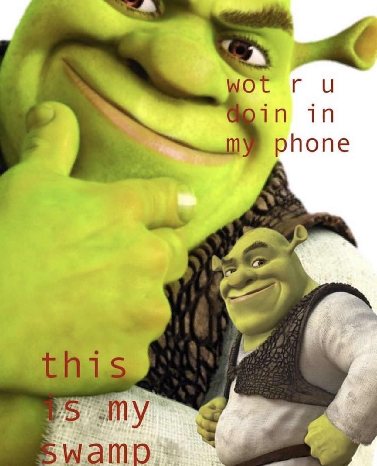 A picture of two green characters with the words this is my swamp - Shrek
