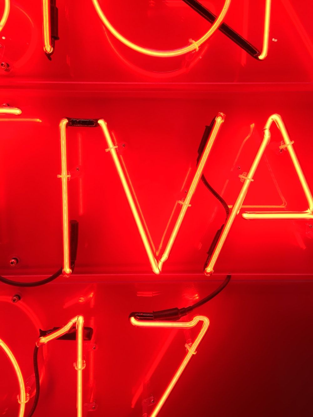 red and white neon light signage photo