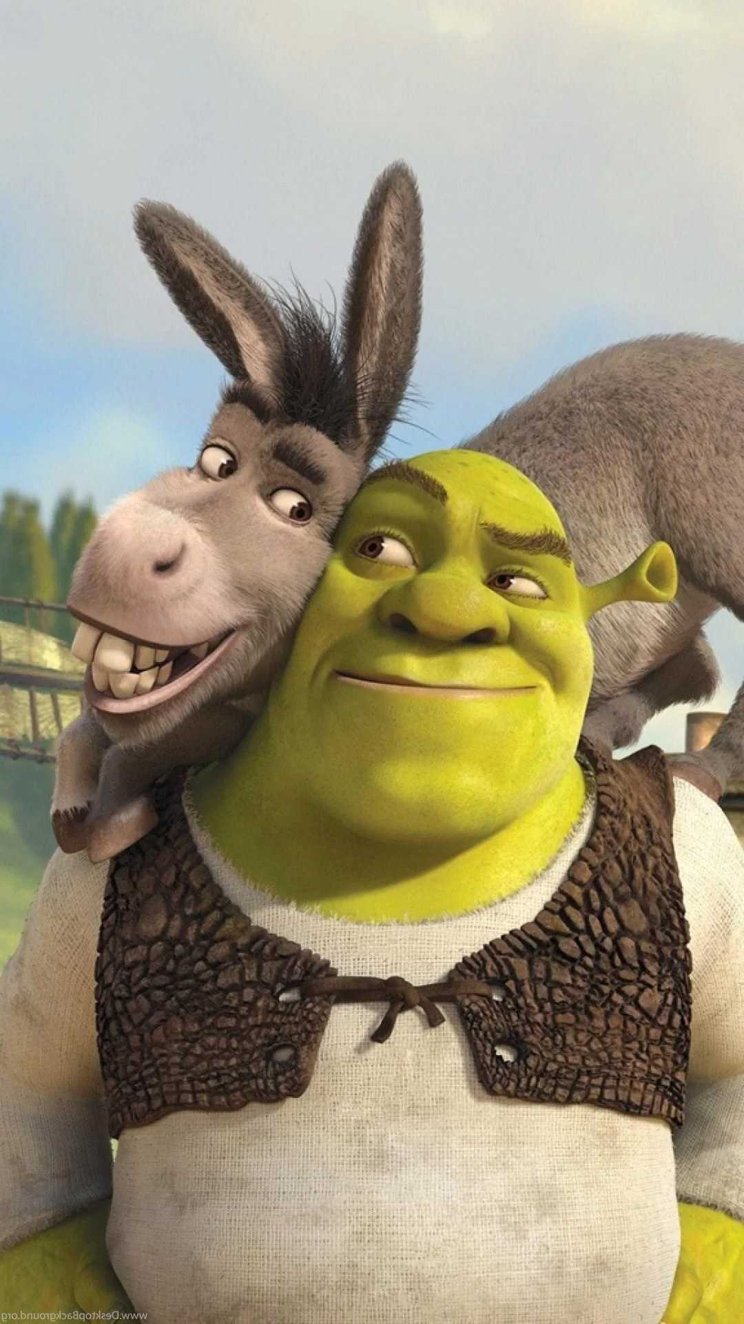 Shrek and donkey from the movie - Shrek