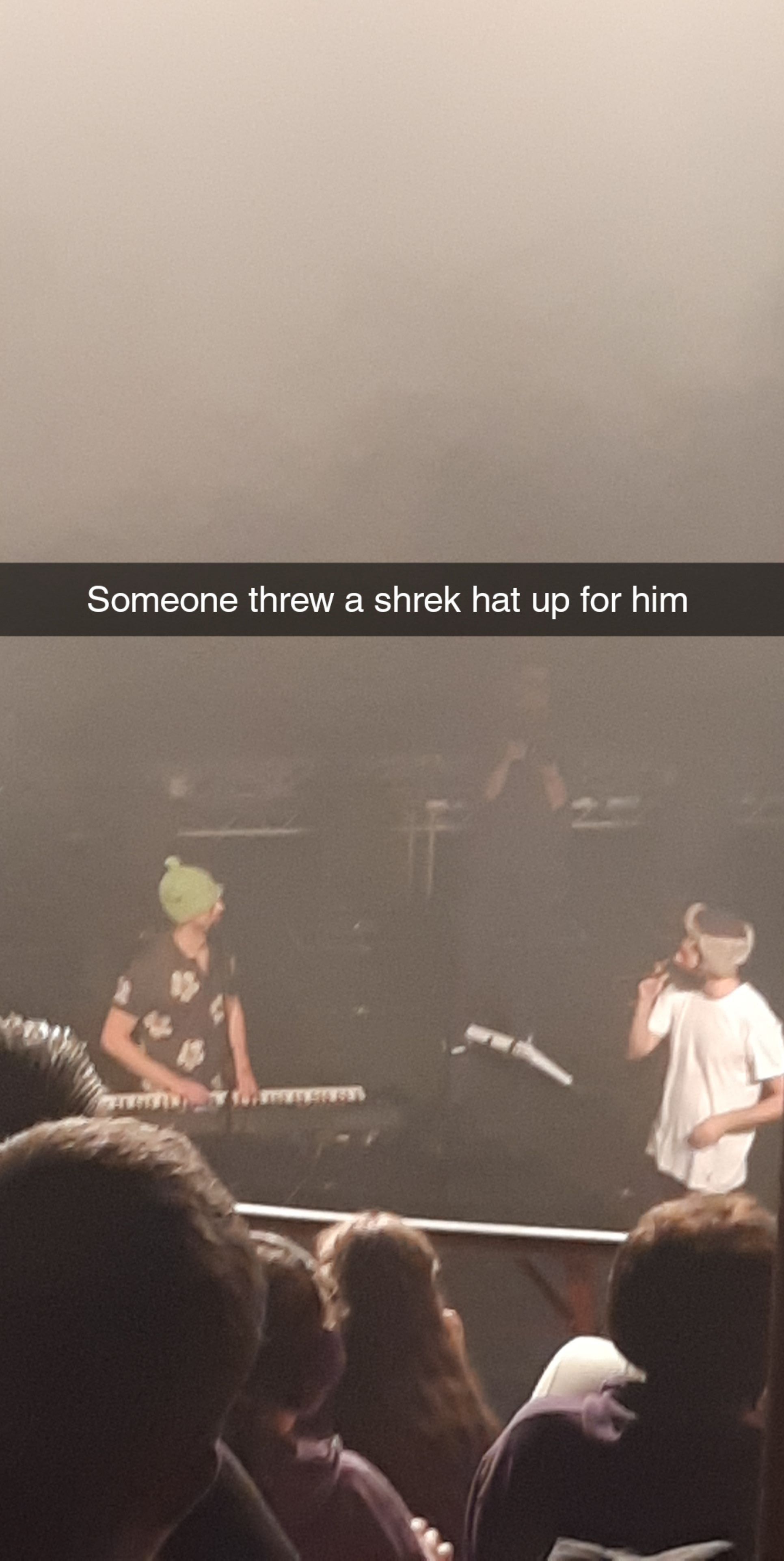 Someone threw a shrek hat up for Ryan at the concert in dublin