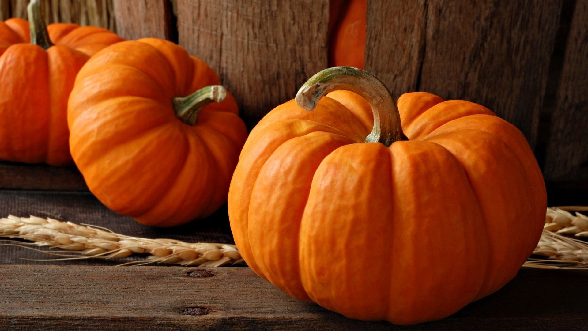 Pumpkins on a wooden table with wheat stalks. - Pumpkin