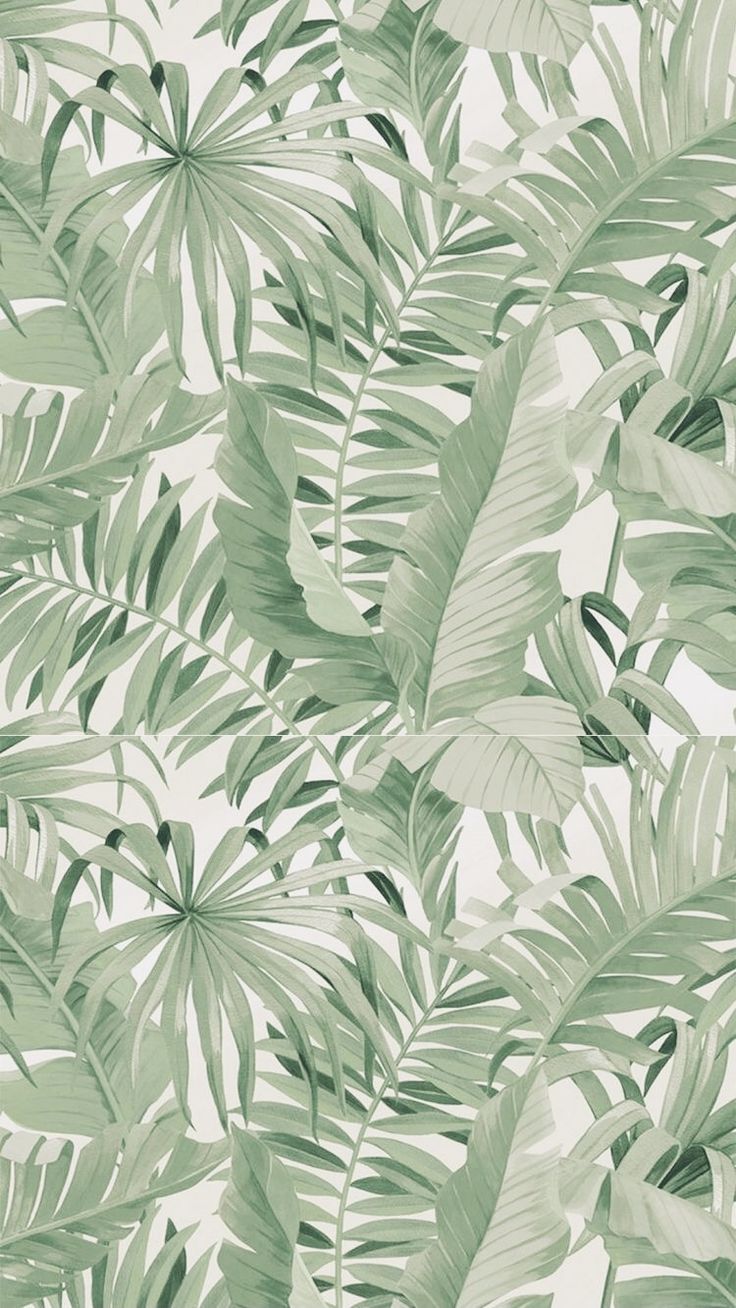 + Aesthetic & Minimal Wallpaper. Tropical wallpaper, Mint green wallpaper iphone, Minimal wallpaper