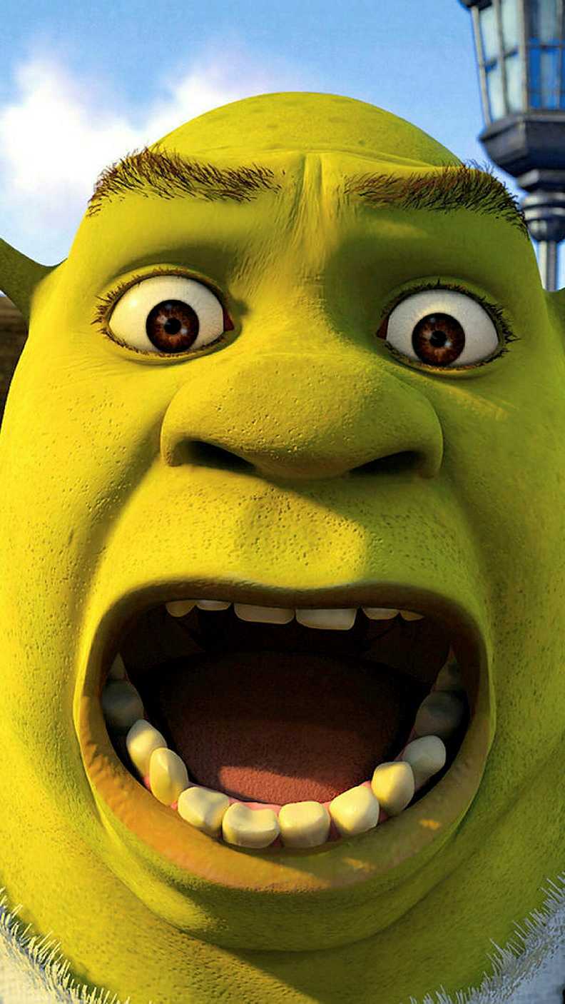 Free download Free download Phone Shrek Face Wallpaper Sun [792x1406 [792x1406] for your Desktop, Mobile & Tablet. Explore Aesthetic Shrek Wallpaper. Shrek Wallpaper, Shrek Wallpaper, Shrek 4 Wallpaper