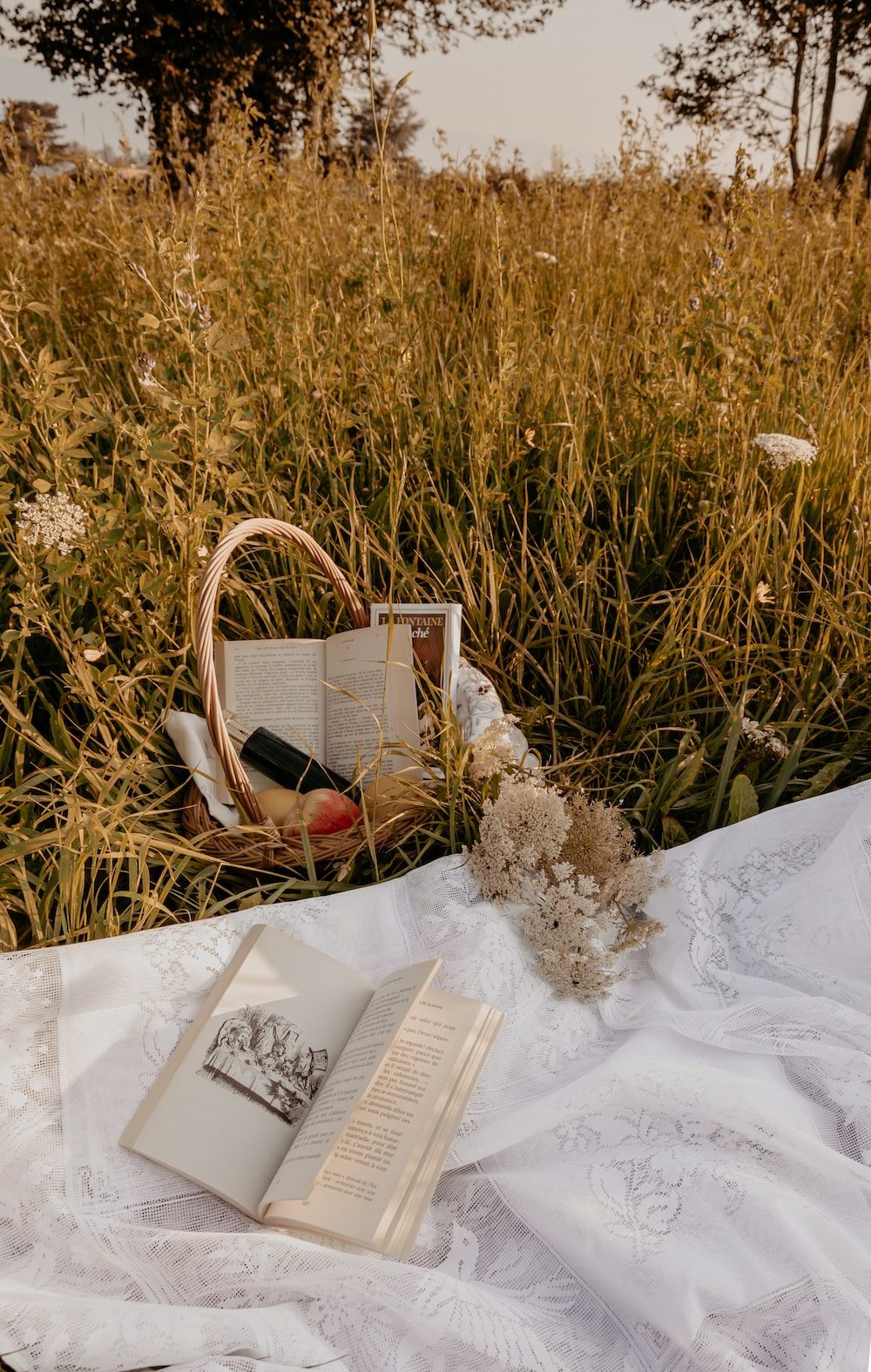 Open book and basket on a white sheet in a field - Cottagecore