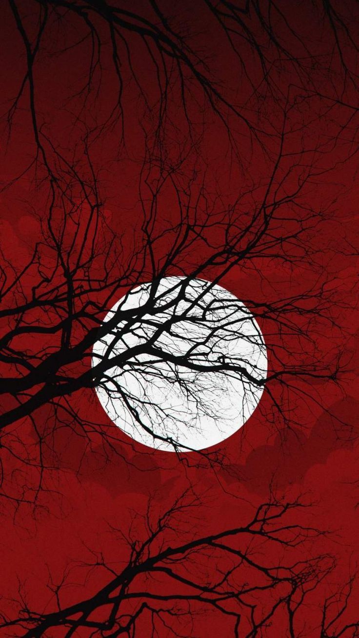 Red sky with a full moon and tree branches - Horror