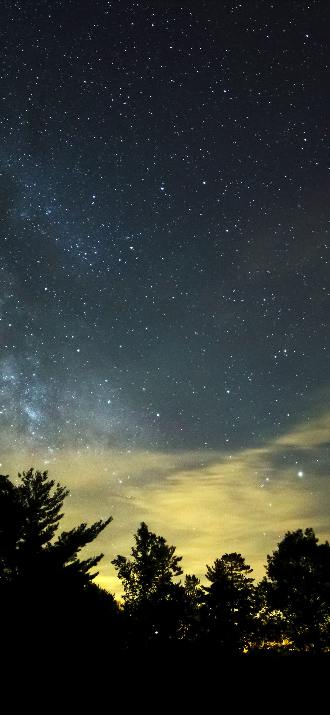 A night sky with stars and trees - Sky