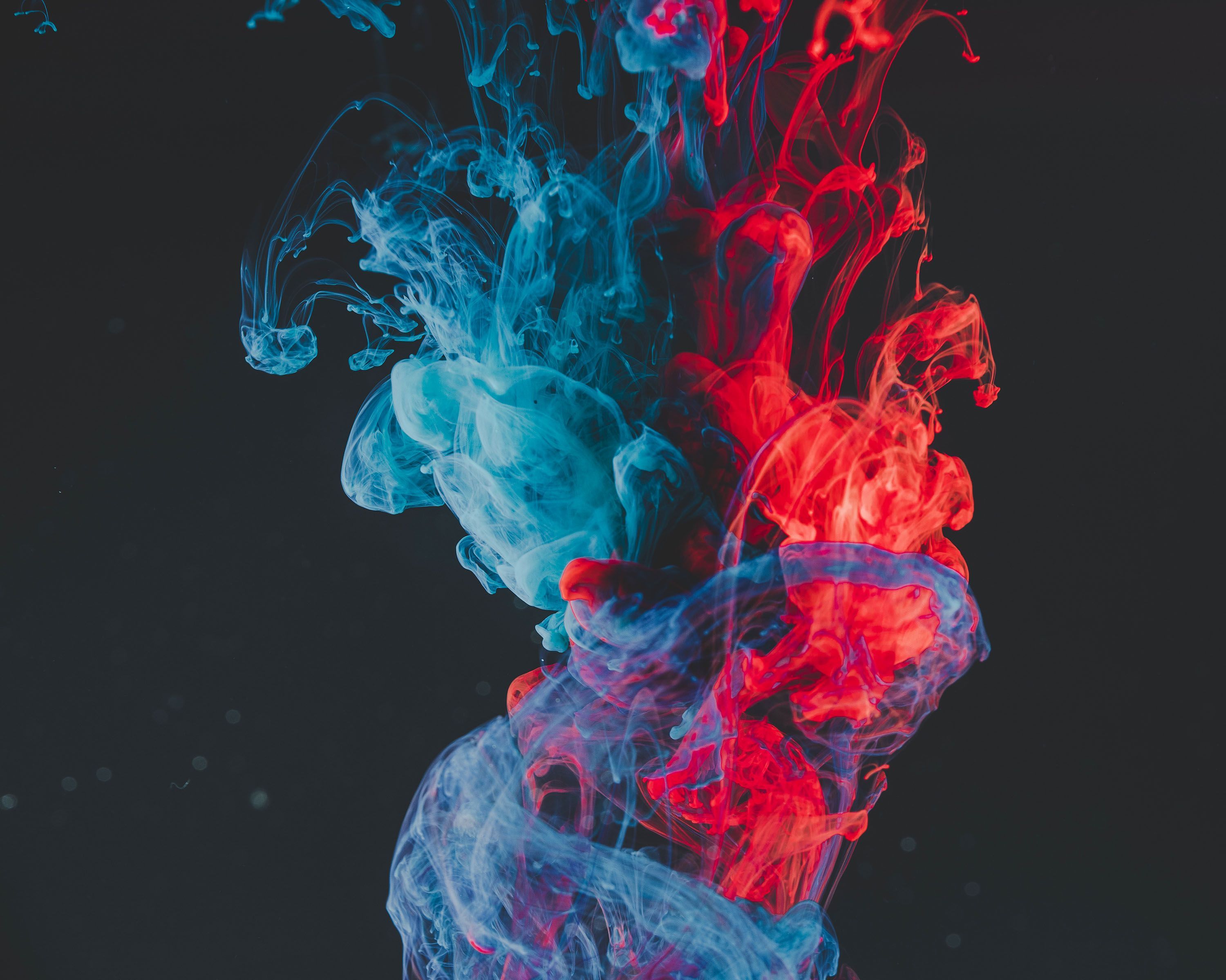 A photo of red and blue ink mixing in water. - Smoke